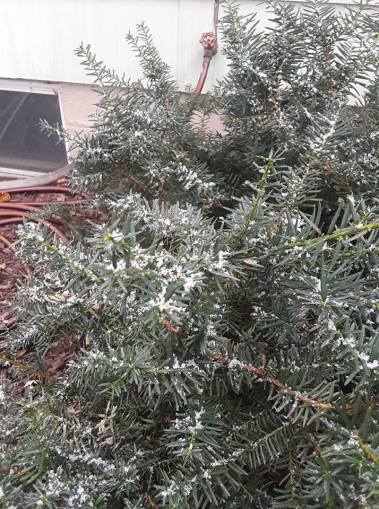 44049086_10101015115207847_1877633992413413376_n