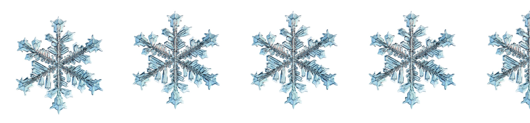 4 and half snowflakes