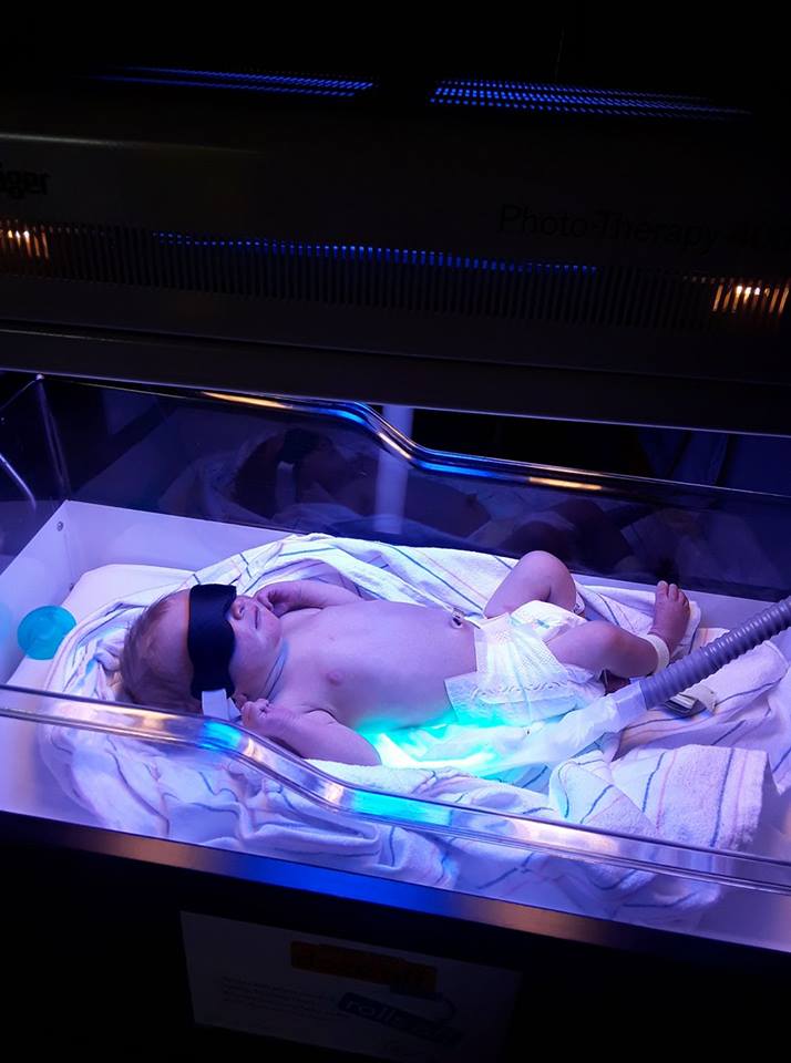 48046298_10101043074227747_8190229662530535424_n