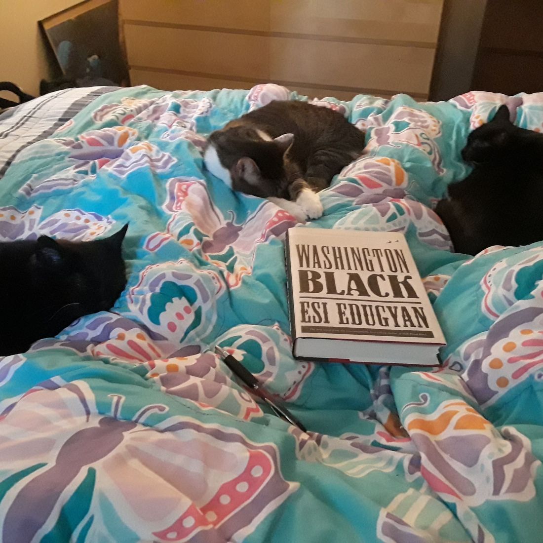 _result_1541177440273