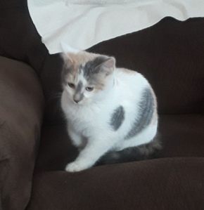 49647056_10101054281009267_5832624351710543872_n