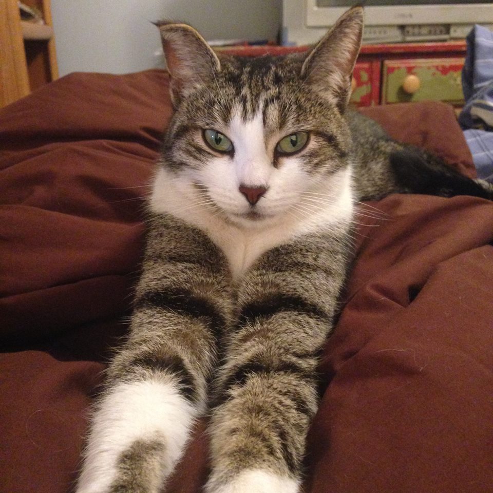 10952079_10100229238735597_6954374605540070367_n