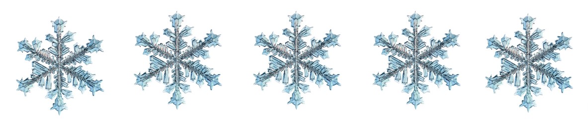 5 snowflakes